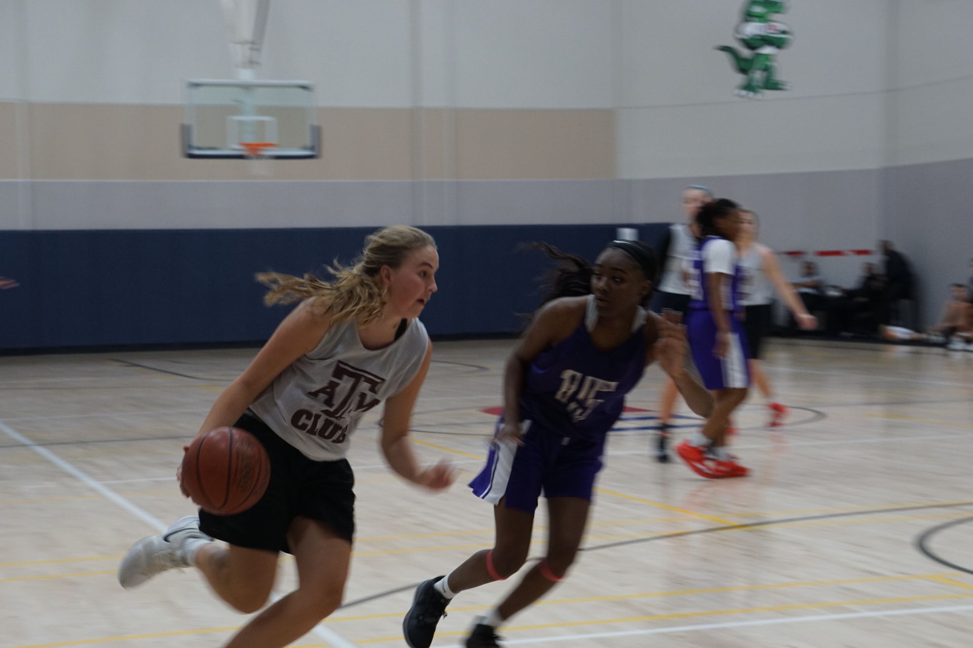 Women's Basketball League